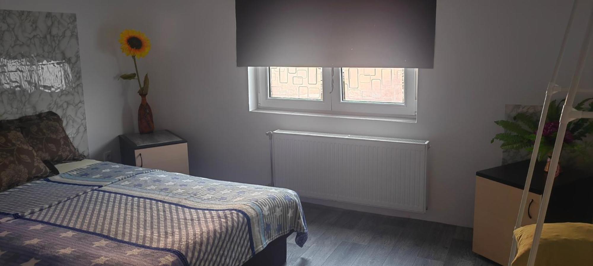 Divlji Raj Apartamento Belgrado Exterior foto