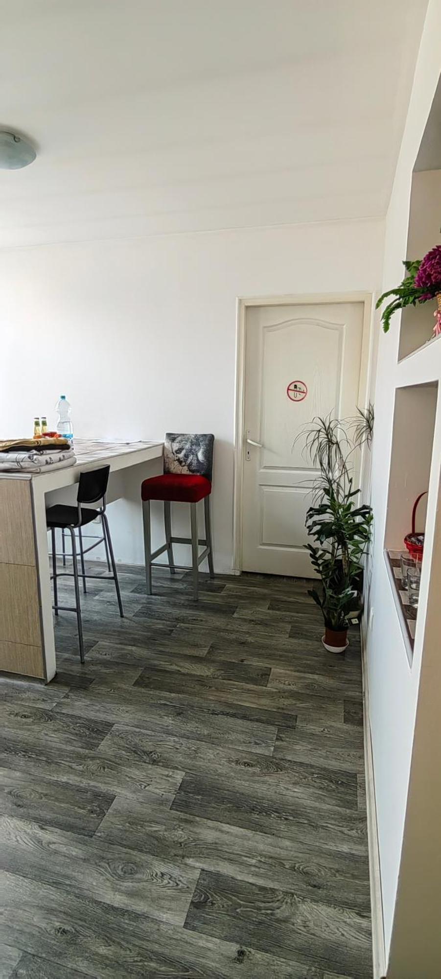 Divlji Raj Apartamento Belgrado Exterior foto