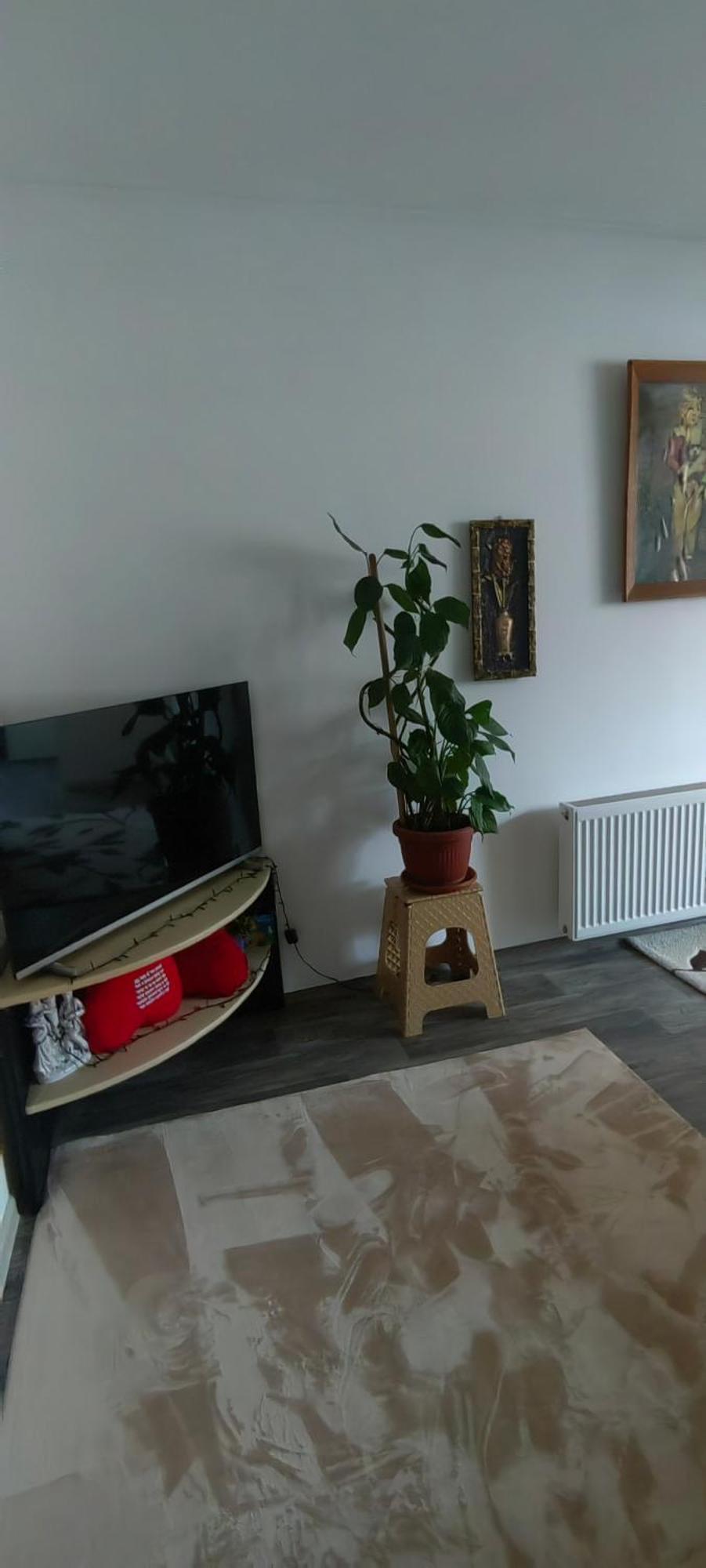 Divlji Raj Apartamento Belgrado Exterior foto